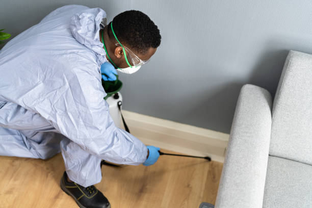 Best Residential Pest Control  in Pasadena, CA